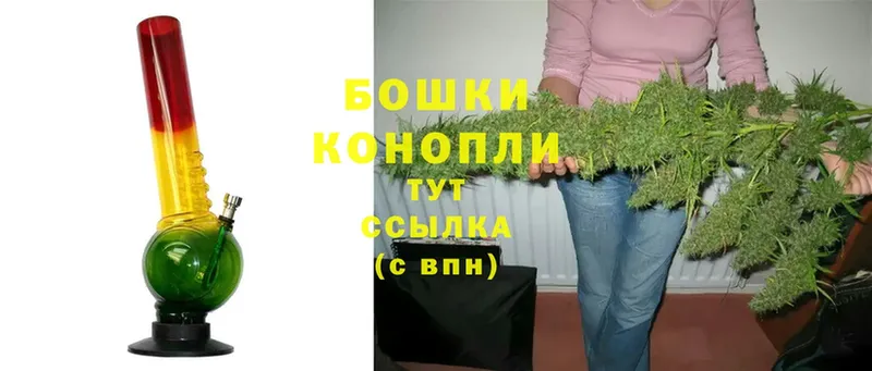 Марихуана THC 21%  гидра ONION  Павловский Посад  дарнет шоп 